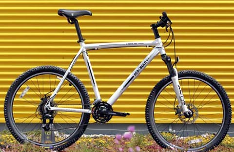 Old&Bold Caracas 23″