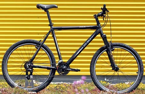 Old&Bold Caracas 23″