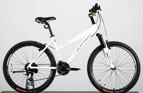 GoldieBoldie Low Entry